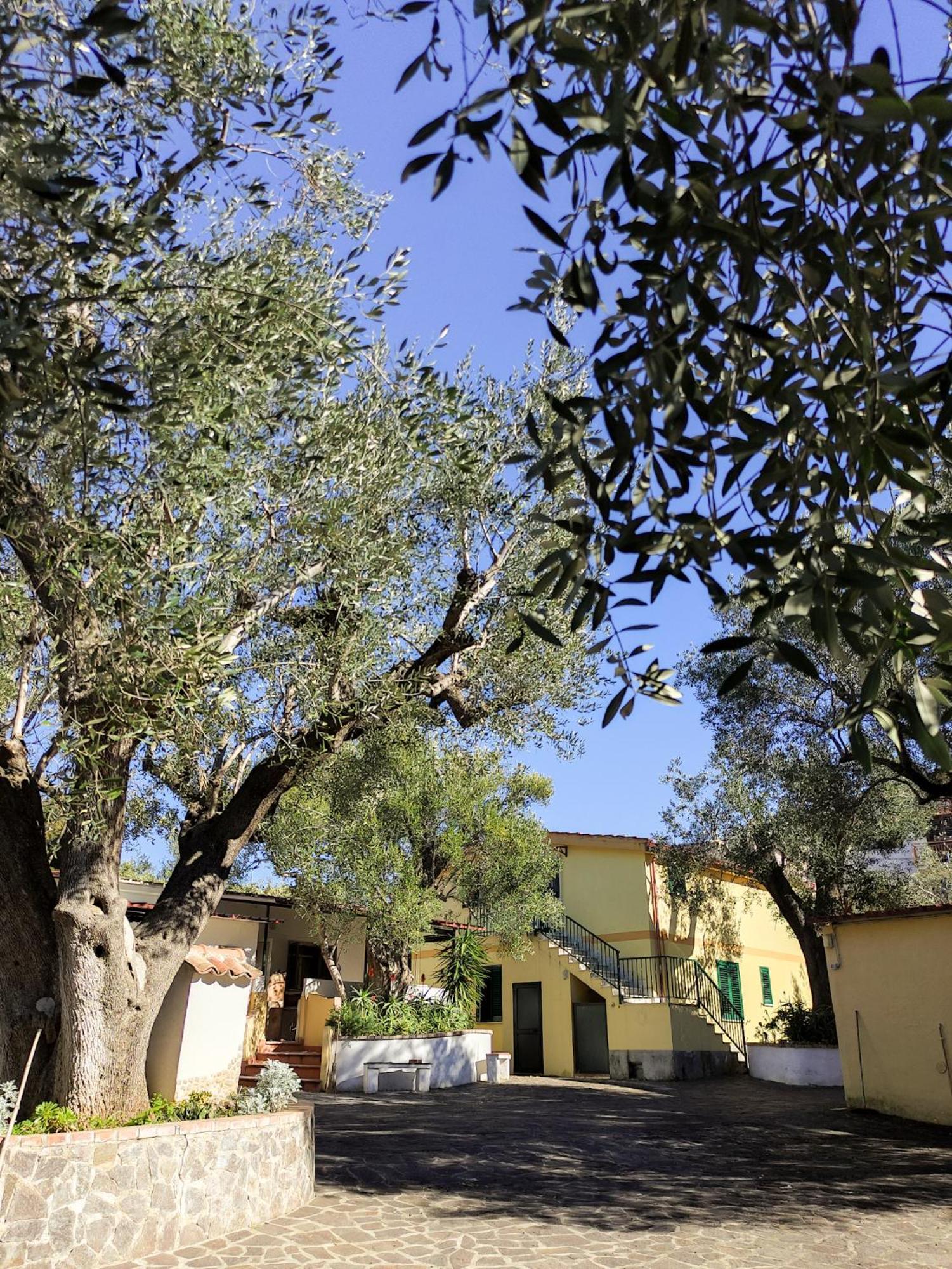 Case Vacanza Da Domingo Marina di Camerota Exterior photo